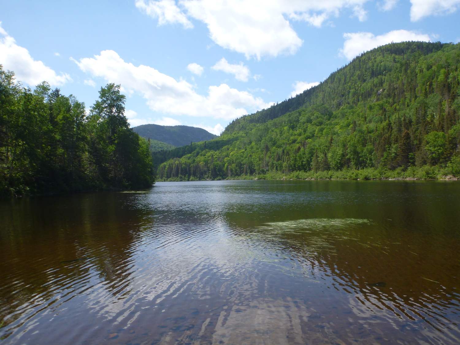 Nouvelles découvertes à l`AnseStJean et Sagard !!! Récits d